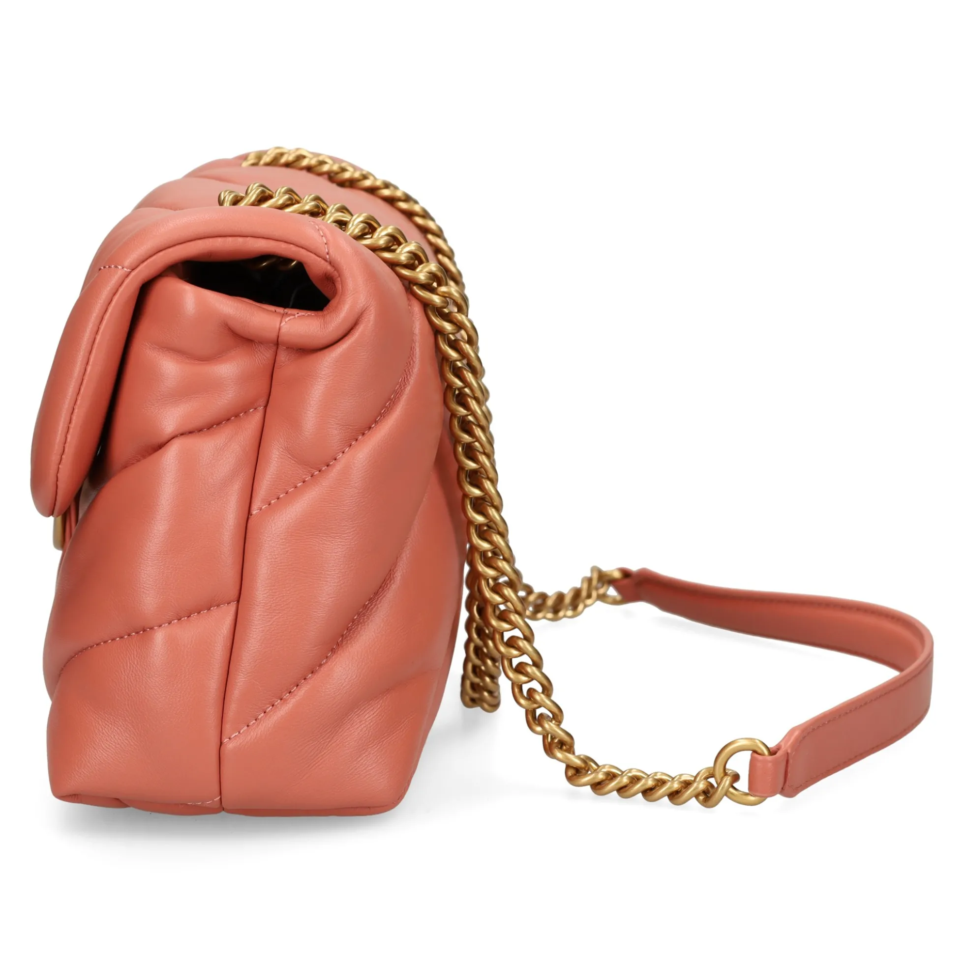PINKO Bolsos 100038 L21Q MARRONE