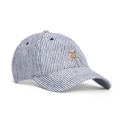 TOMMY HILFIGER Gorras y viseras AW0AW17141 DW6 SPACE BLU